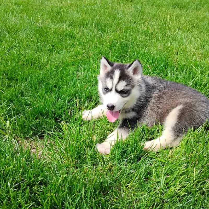 Bonnie | image 9