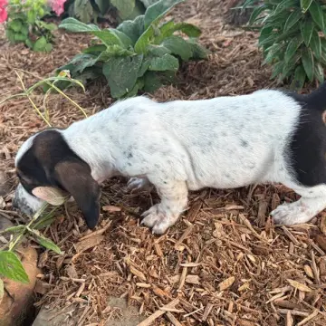 Kammie | image 3