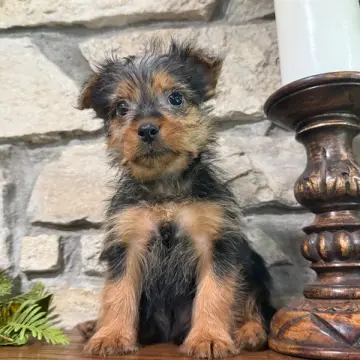 George | image 5