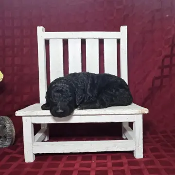 Wade | image 2