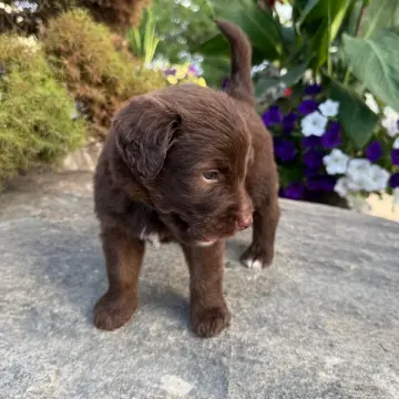 George | image 3
