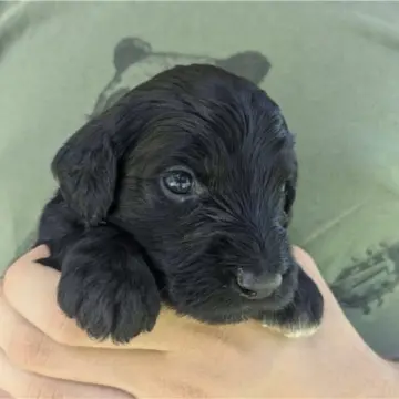 Melvin | image 6