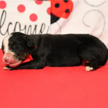 Ezra | image 2