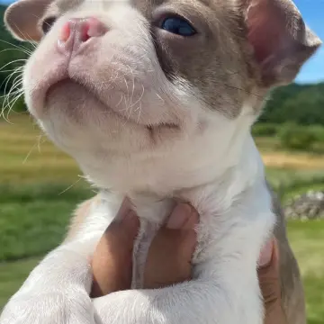 Happy | image 8
