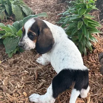 Kammie | image 2