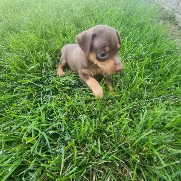 Evelyn | image 2