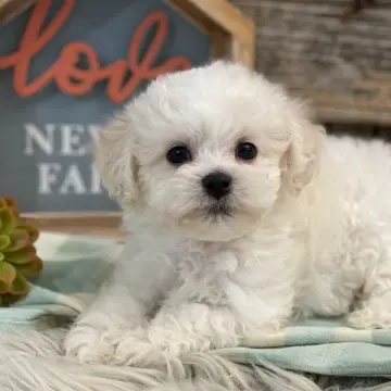 Leroy | image 2