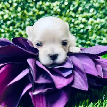 Kyle | image 6