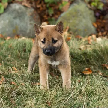 Bonnie | image 2