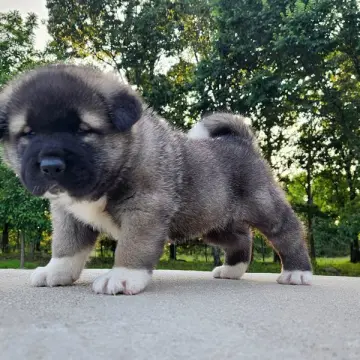 Eric | image 6