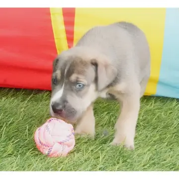 Riley | image 3