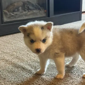 Charlie