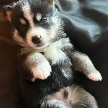 George | image 2