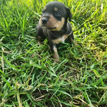 Emma | image 4