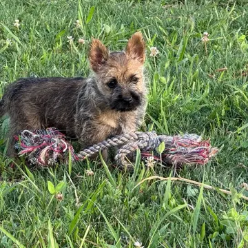 Mia | image 2