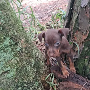 Stormie | image 7