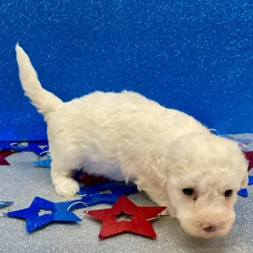 Monroe