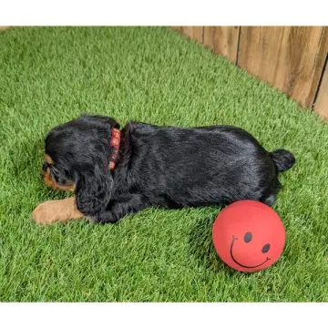 Holly | image 2
