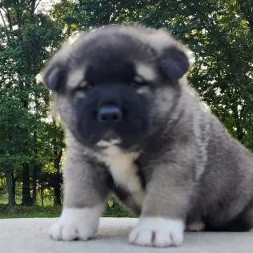 Eric | image 4