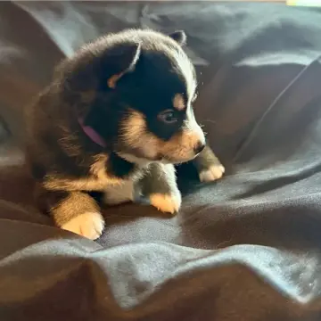 George | image 4