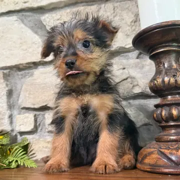 George | image 7