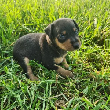 Emma | image 3