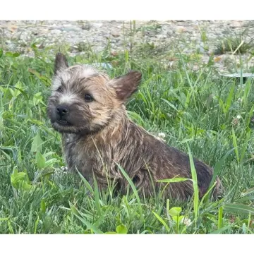 Mateo | image 3