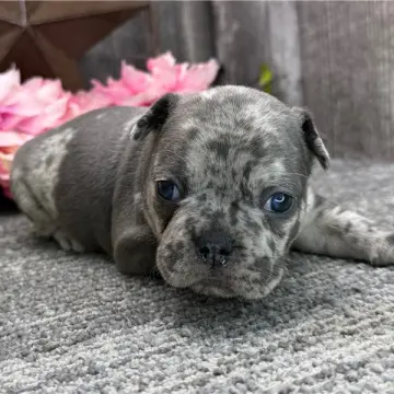 Nathan | image 2
