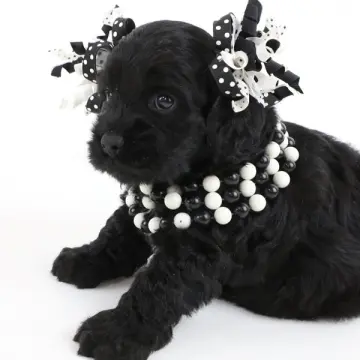 Holly | image 3