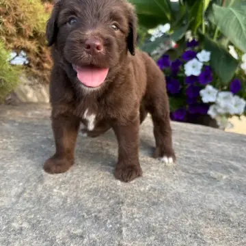 George | image 8