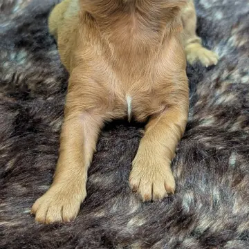 Diego | image 6