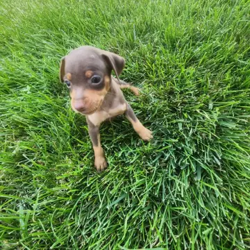Evelyn | image 3