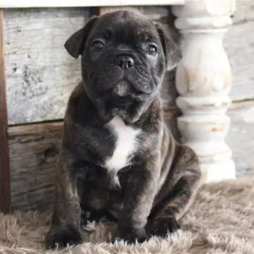Charles | image 3