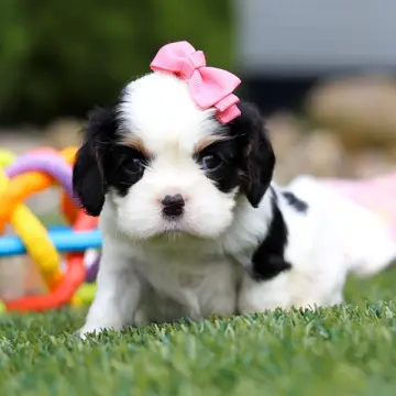 Margaret