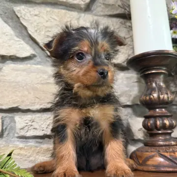 George | image 6