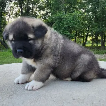 Eric | image 3
