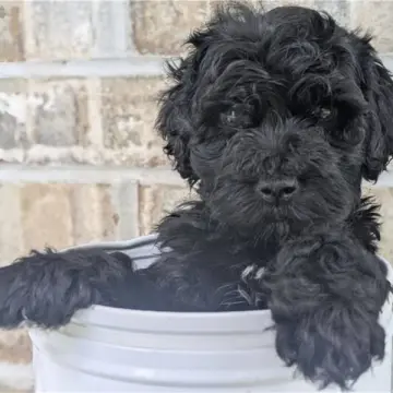 Norm | image 2