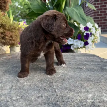George | image 9