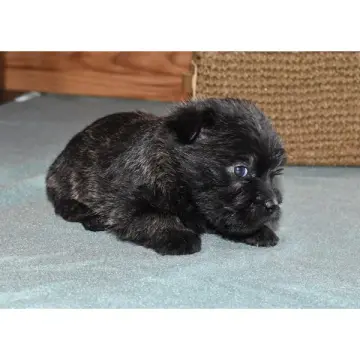 Freya | image 3