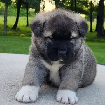 Eric | image 8