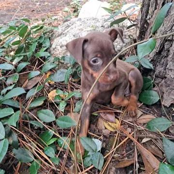 Stormie | image 6