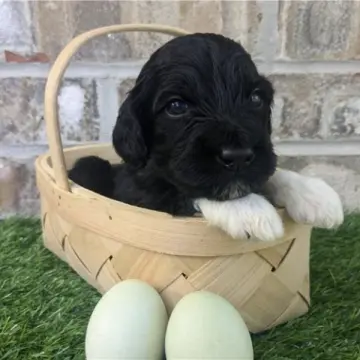 Munchie | image 4